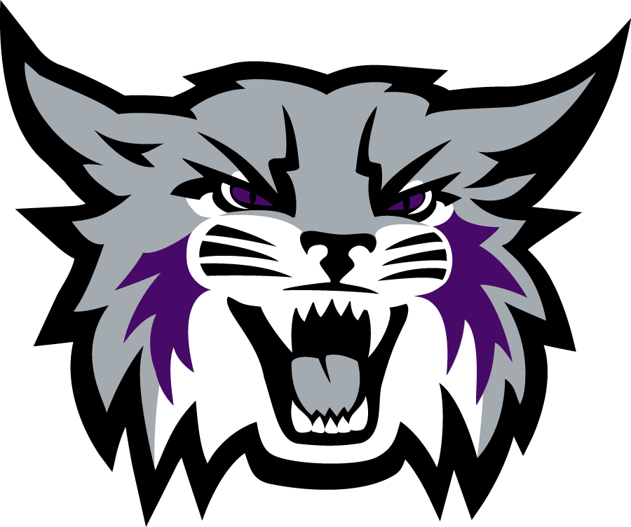 Weber State Wildcats 2023-Pres Secondary Logo diy iron on heat transfer